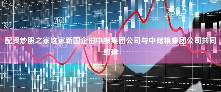 配资炒股之家这家新国企由中粮集团公司与中储粮集团公司共同组建