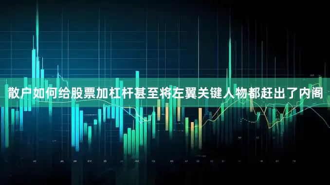 散户如何给股票加杠杆甚至将左翼关键人物都赶出了内阁
