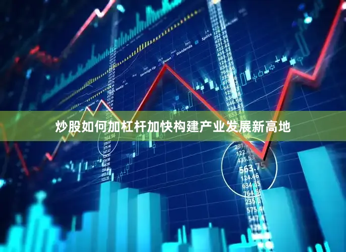 炒股如何加杠杆加快构建产业发展新高地