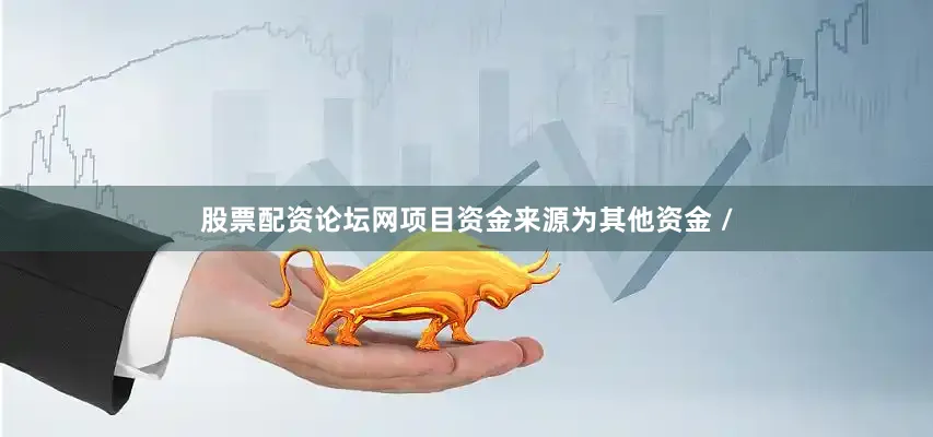 股票配资论坛网项目资金来源为其他资金 /